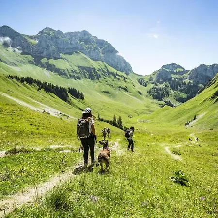 Myrtilles Mr24 Telecabine & Nature 6 Pers * Châtel